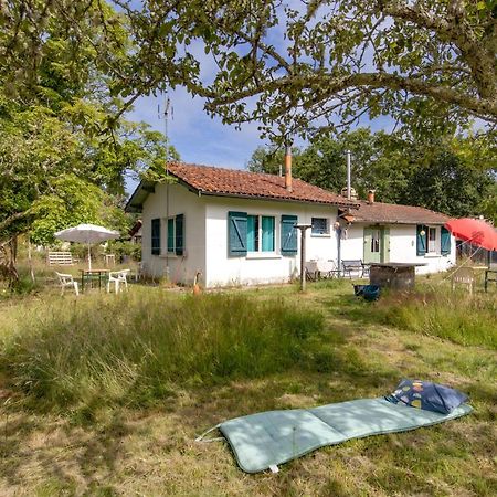 Petite Maison Rustique Et Atypique Hourtin Kültér fotó