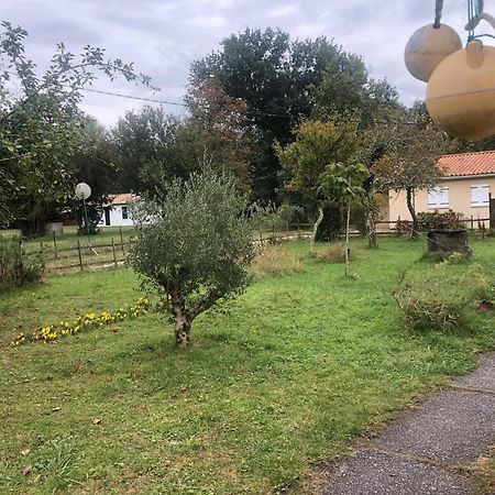 Petite Maison Rustique Et Atypique Hourtin Kültér fotó