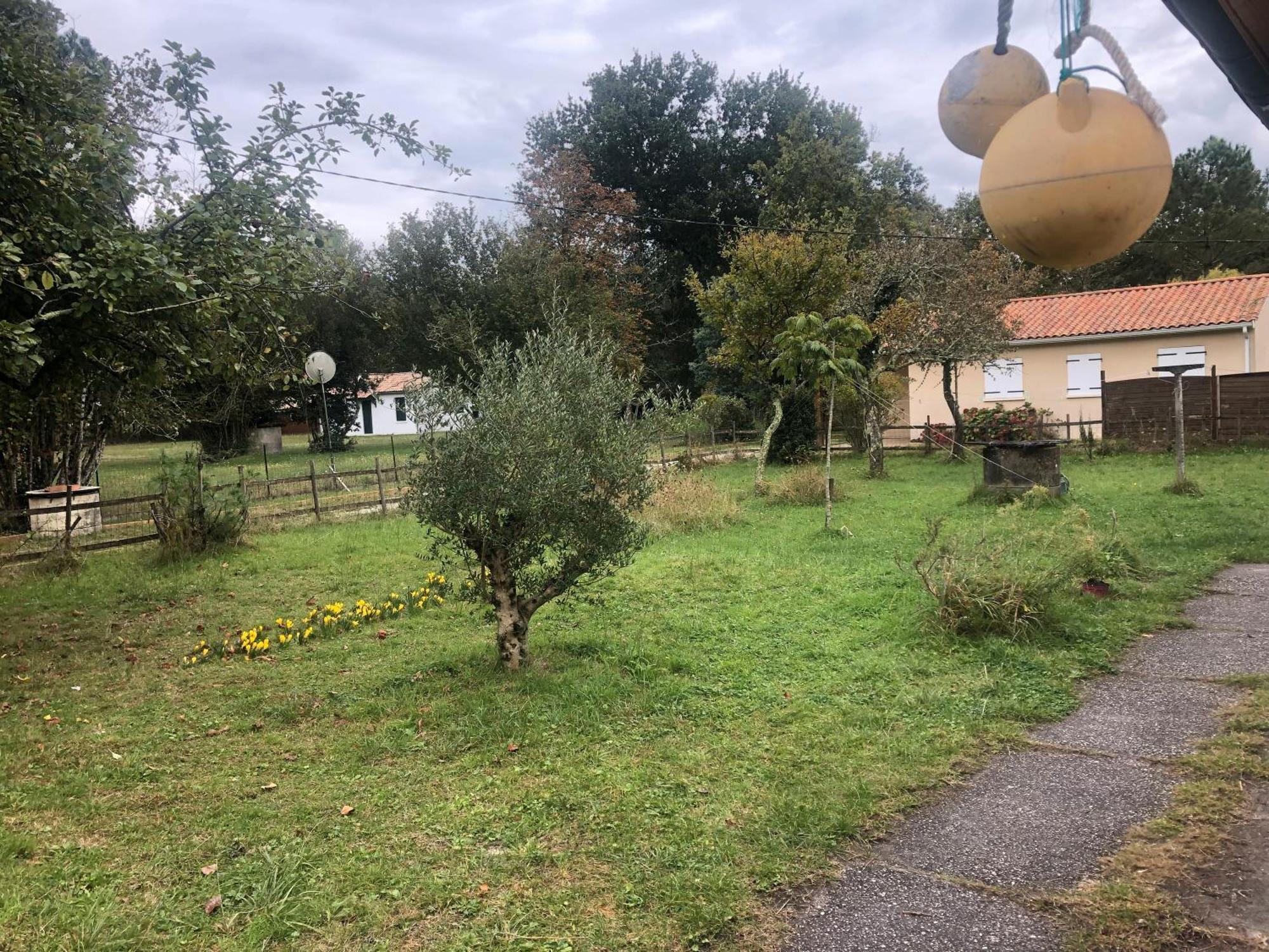 Petite Maison Rustique Et Atypique Hourtin Kültér fotó
